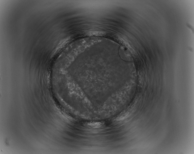 X0000098120357200804251457