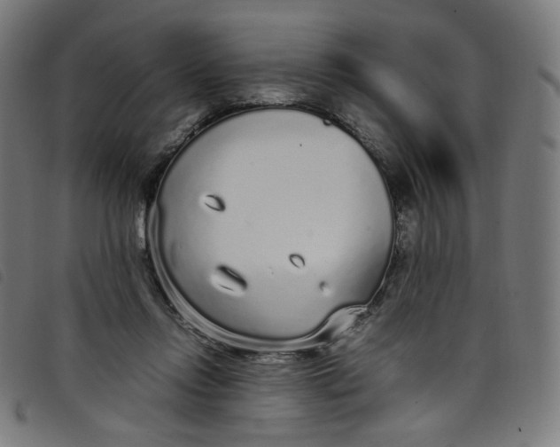 X0000098120358200804251457