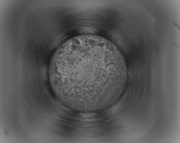 X0000098120359200804251457