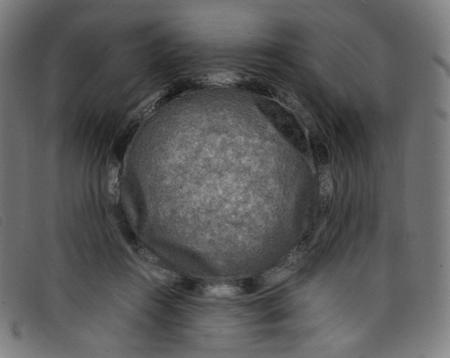 X0000098120360200804251457