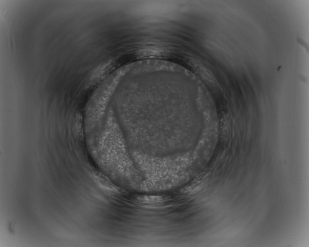X0000098120361200804251457