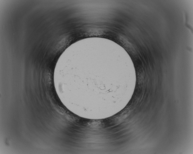 X0000098120362200804251457