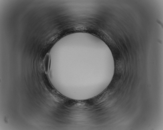 X0000098120364200804251457