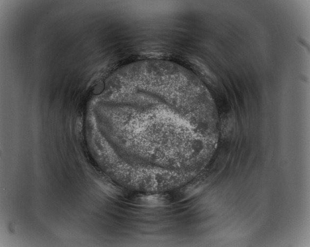 X0000098120365200804251457