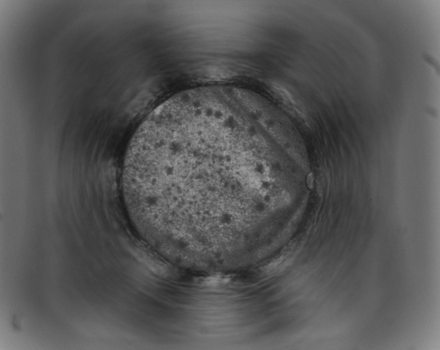 X0000098120366200804251457