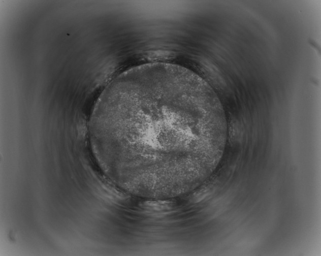 X0000098120367200804251457