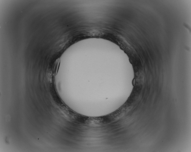 X0000098120368200804251457
