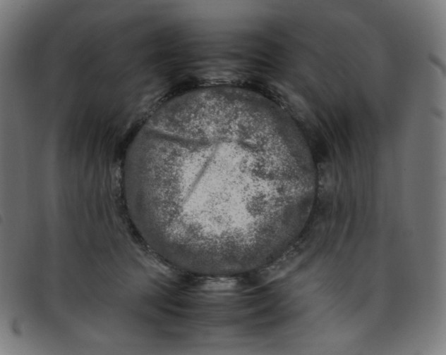 X0000098120369200804251457