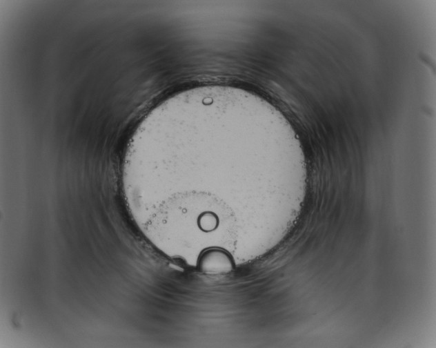 X0000098120370200804251457