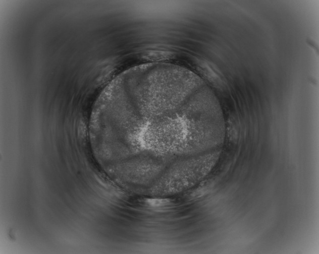 X0000098120371200804251457