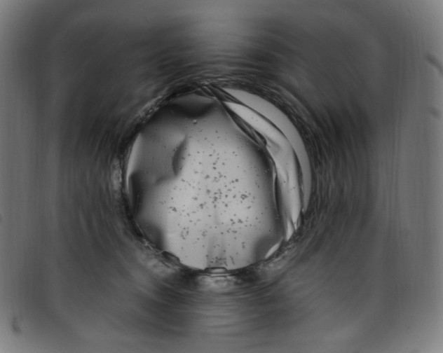 X0000098120372200804251457