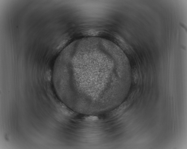 X0000098120374200804251457