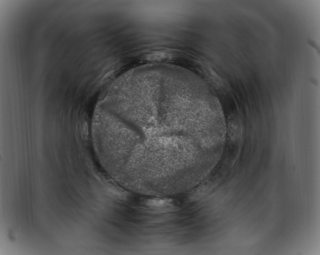X0000098120375200804251457