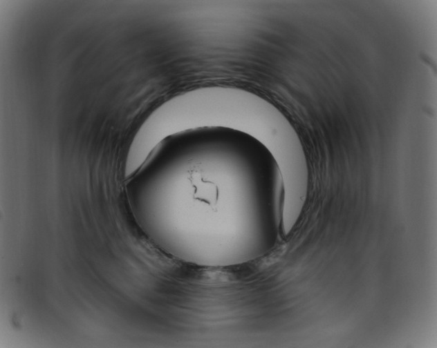 X0000098120376200804251457
