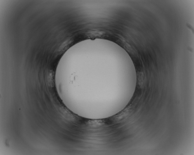 X0000098120378200804251457