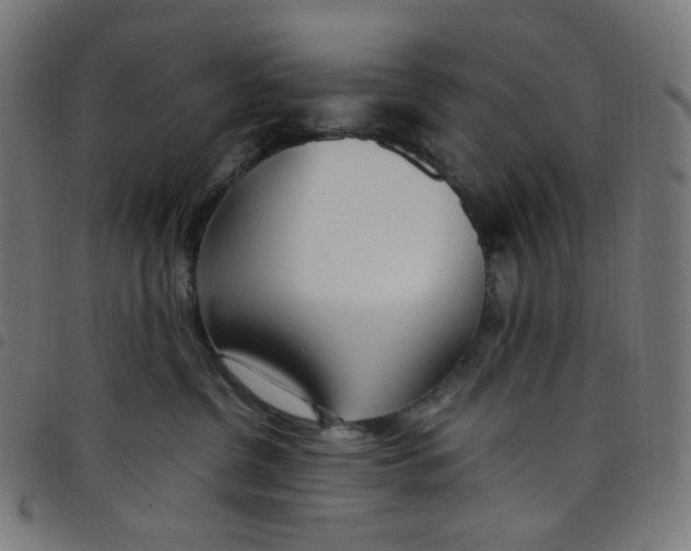X0000098120380200804251457