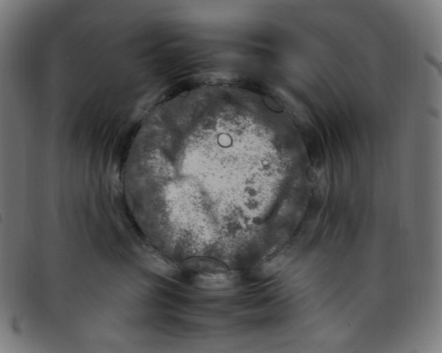 X0000098120381200804251457