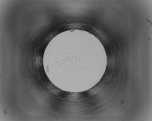 X0000098120382200804251457