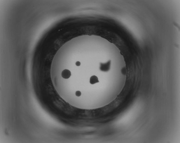X0000098120383200804251457