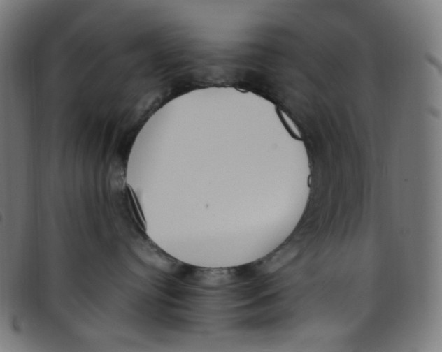 X0000098120384200804251457