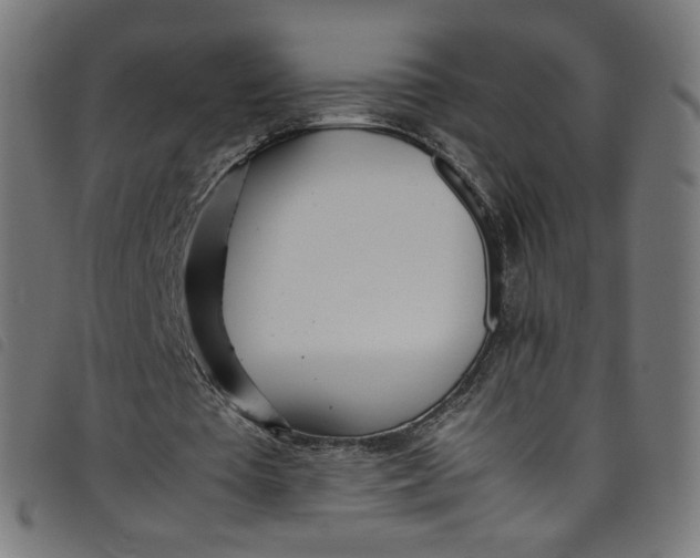 X0000098120385200804251456