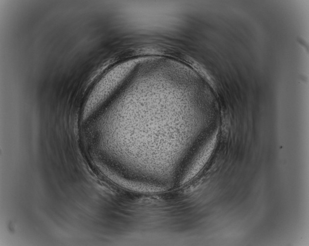 X0000098120386200804251456