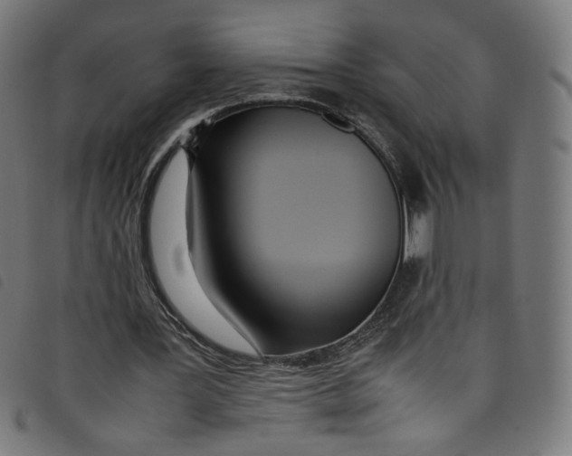 X0000098120387200804251456