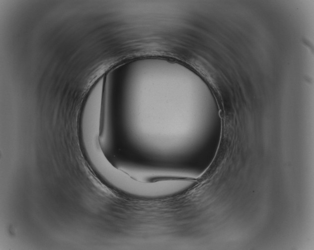 X0000098120389200804251456