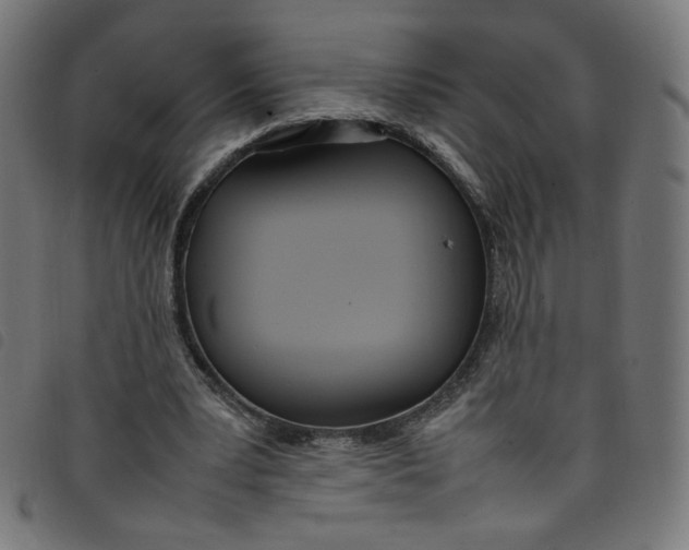 X0000098120391200804251456