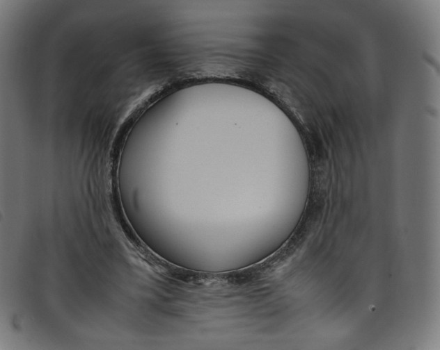 X0000098120395200804251456