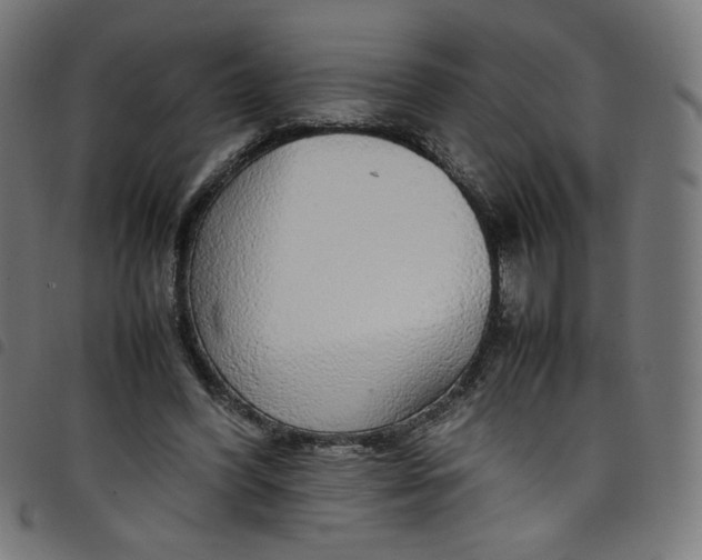 X0000098120396200804251456