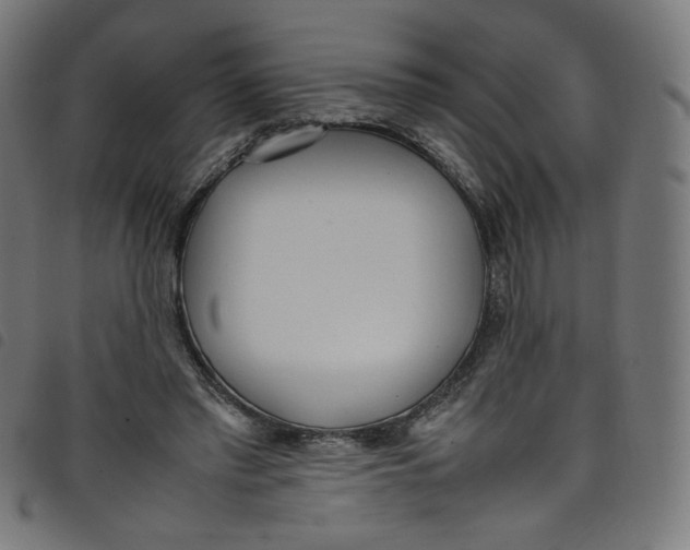 X0000098120397200804251456