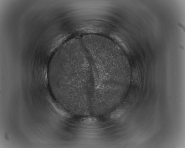 X0000098120398200804251456