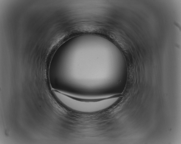 X0000098120399200804251456