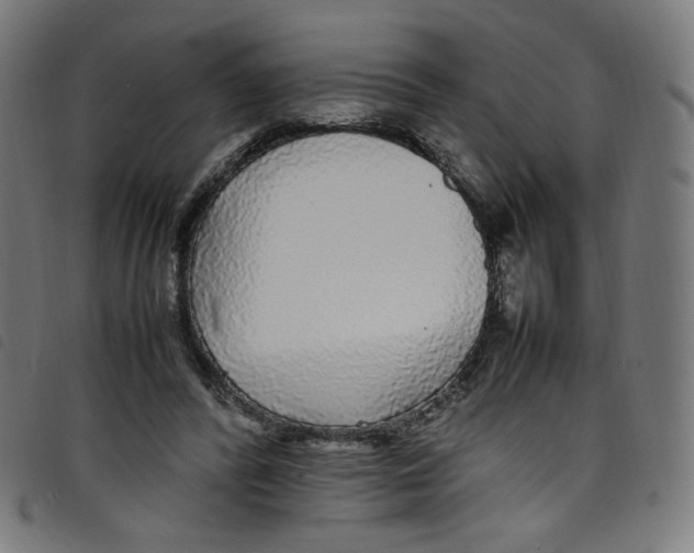 X0000098120400200804251456