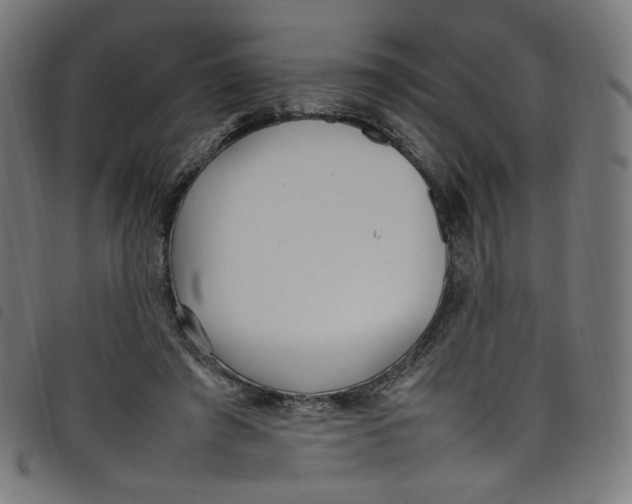 X0000098120401200804251456