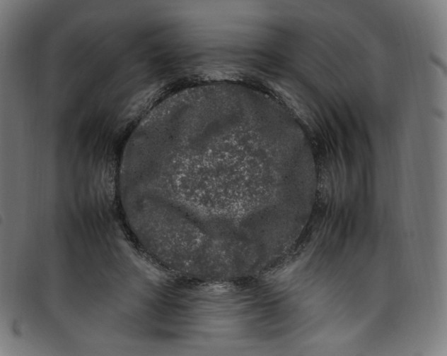 X0000098120402200804251456