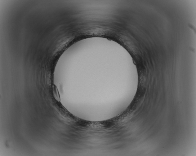 X0000098120403200804251456