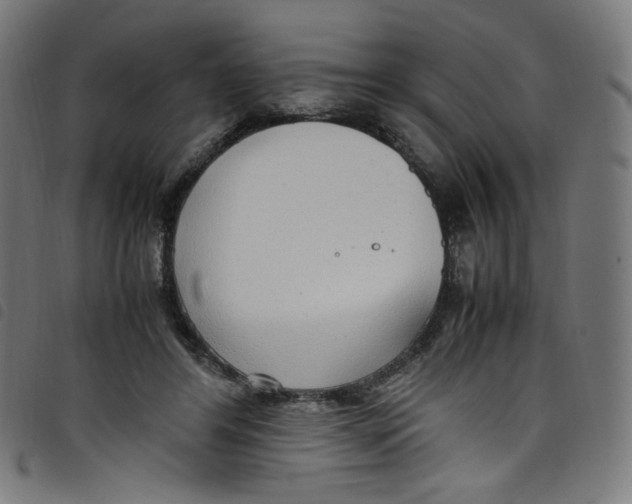 X0000098120404200804251456
