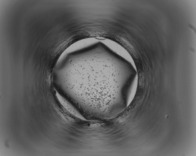 X0000098120405200804251456