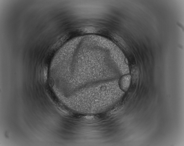 X0000098120406200804251456