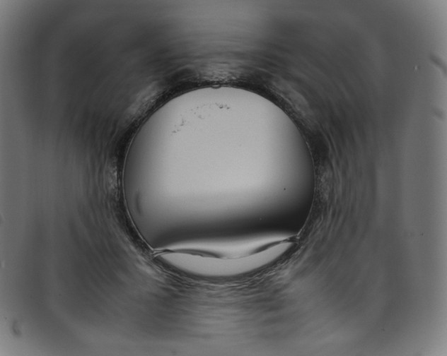 X0000098120407200804251456