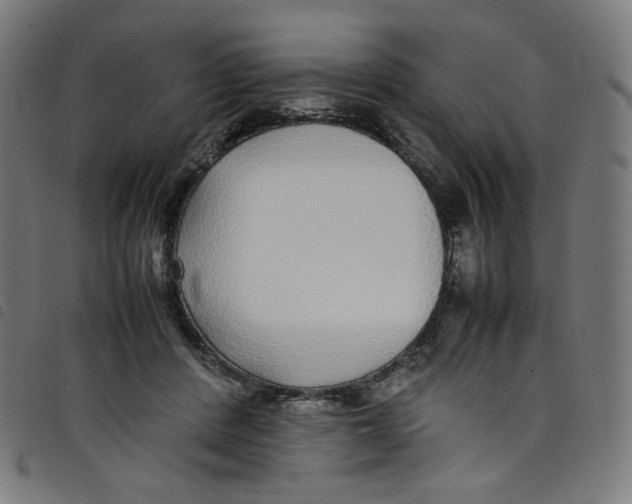 X0000098120408200804251456