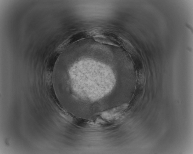 X0000098120409200804251456