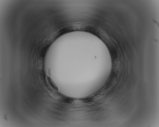 X0000098120413200804251456