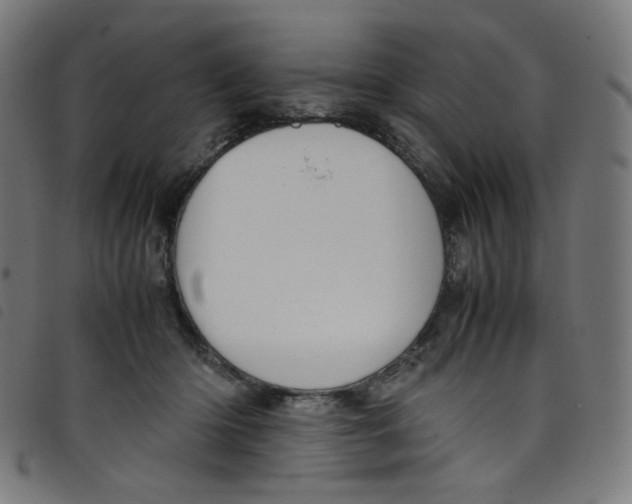 X0000098120414200804251456