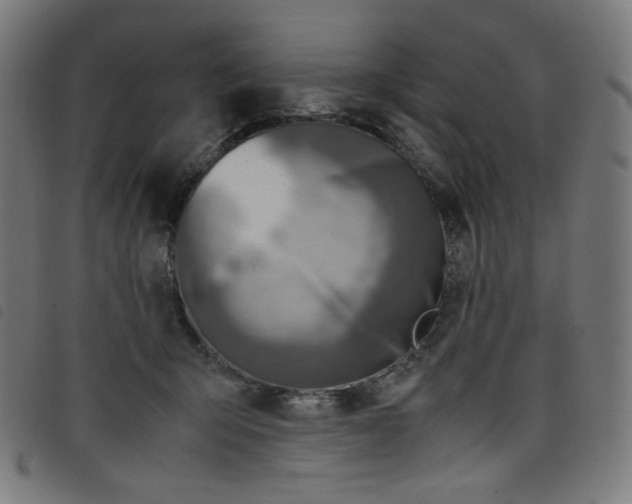 X0000098120415200804251456