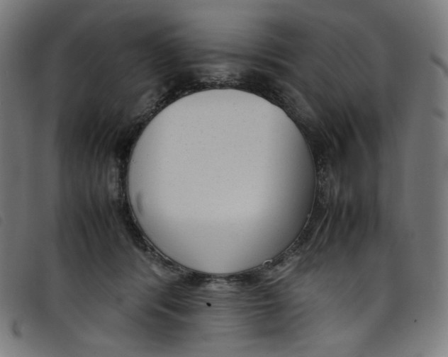 X0000098120416200804251456