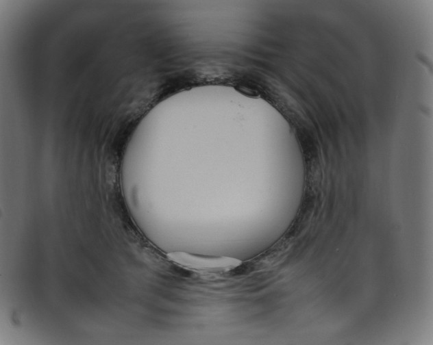 X0000098120417200804251456