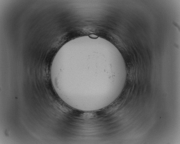 X0000098120418200804251456